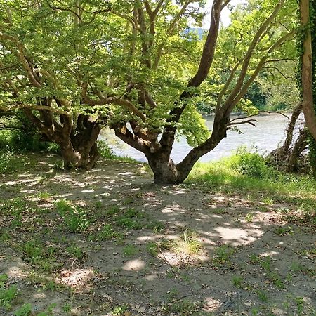 Bourazani Wild Life Resort Konitsa Dış mekan fotoğraf