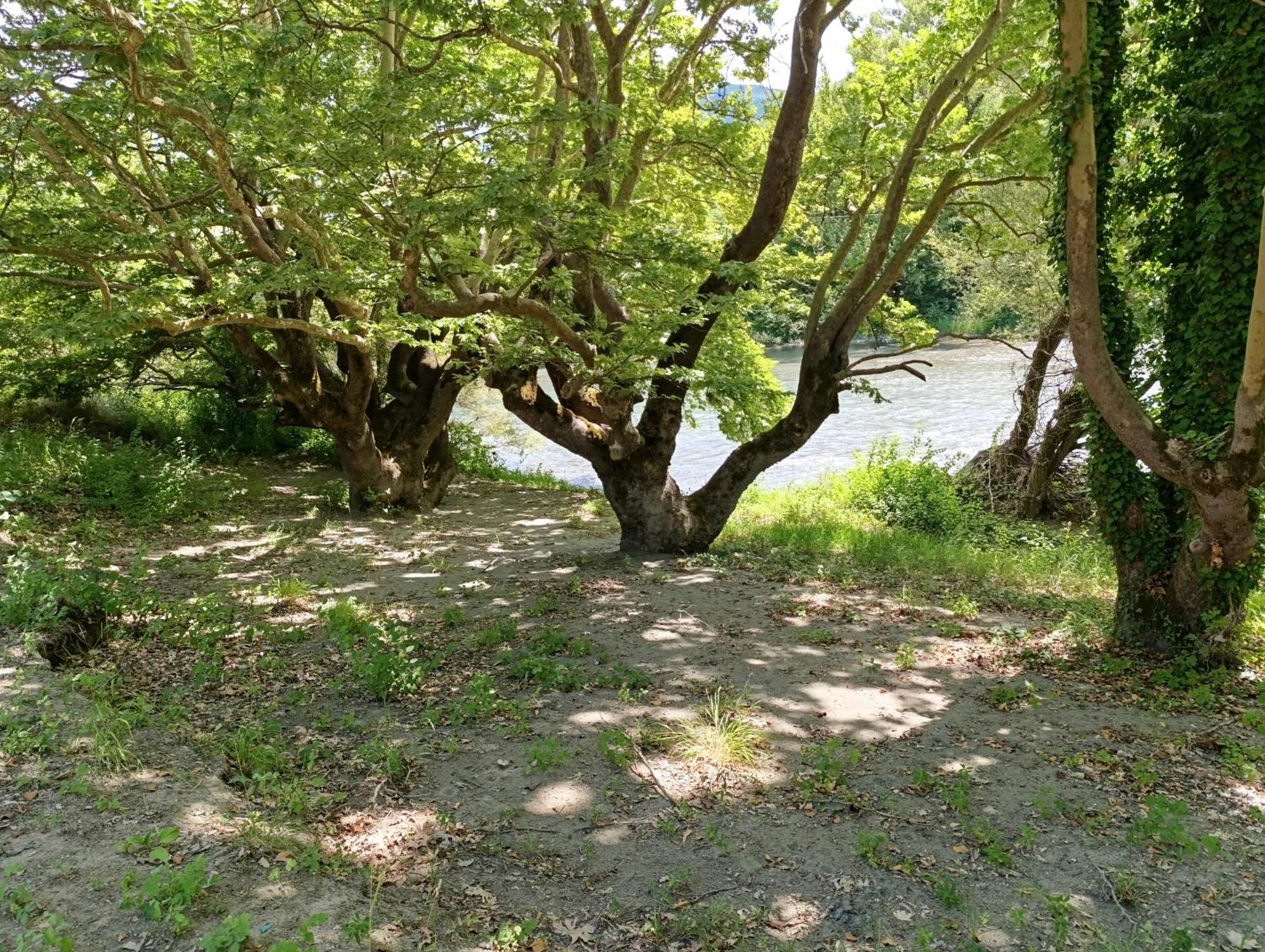 Bourazani Wild Life Resort Konitsa Dış mekan fotoğraf