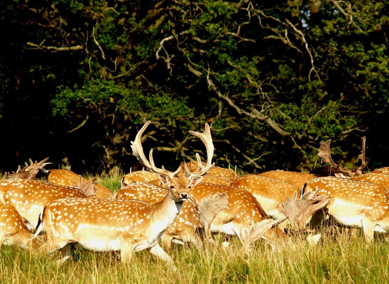 Bourazani Wild Life Resort Konitsa Dış mekan fotoğraf